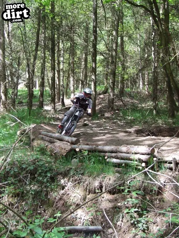 Ribbesford Bike Park