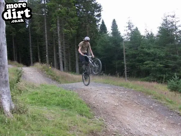 Freeride Park - Glentress