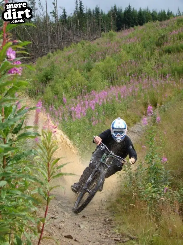 Innerleithen Mountain Bike Trails