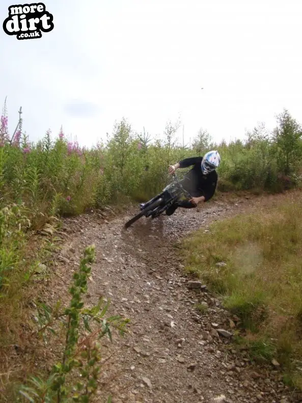 Innerleithen Mountain Bike Trails