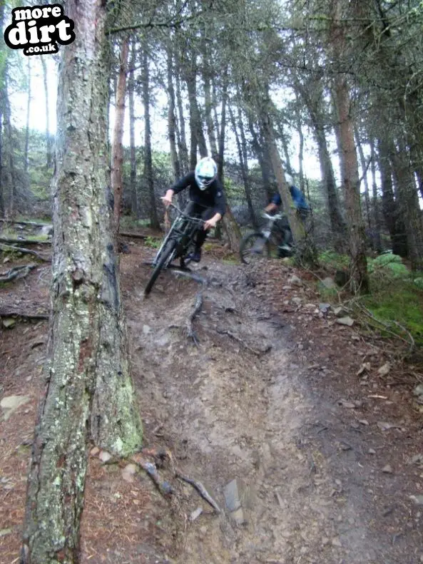 Innerleithen Mountain Bike Trails