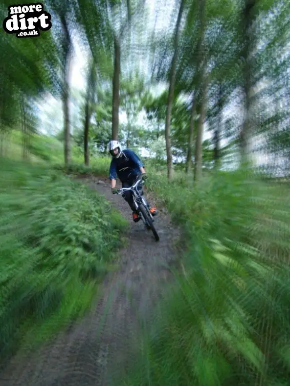 Innerleithen Mountain Bike Trails