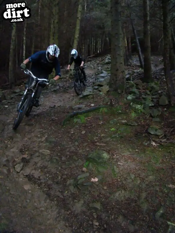 Innerleithen Mountain Bike Trails