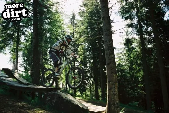 Glentress Mountain Bike Trail Centre