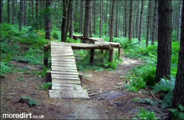 Bedgebury Freeride Area