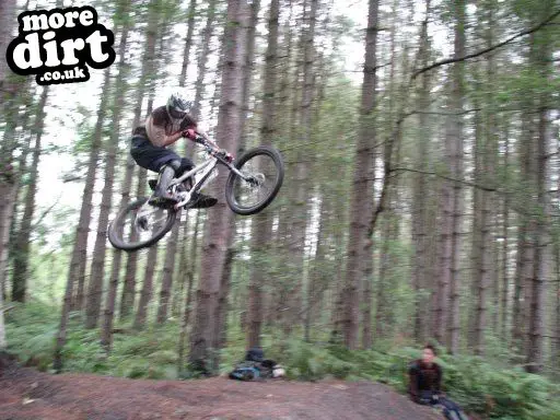 Downhill Trails - Forest of Dean