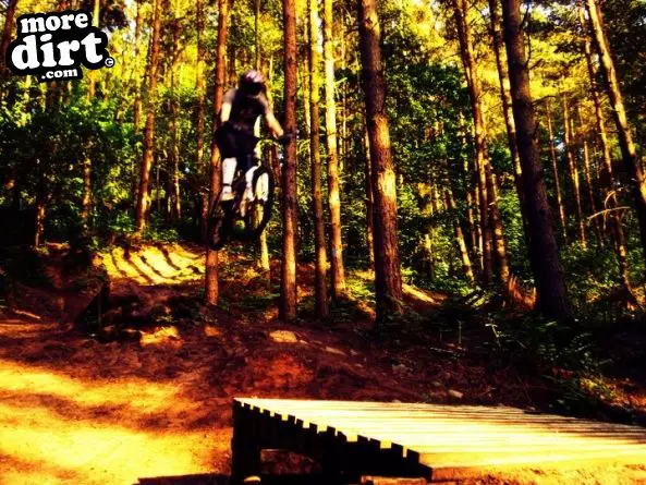 Kinver Freeride Park