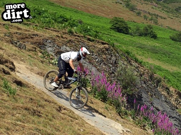 Moelfre Downhill Mountain Bike Track