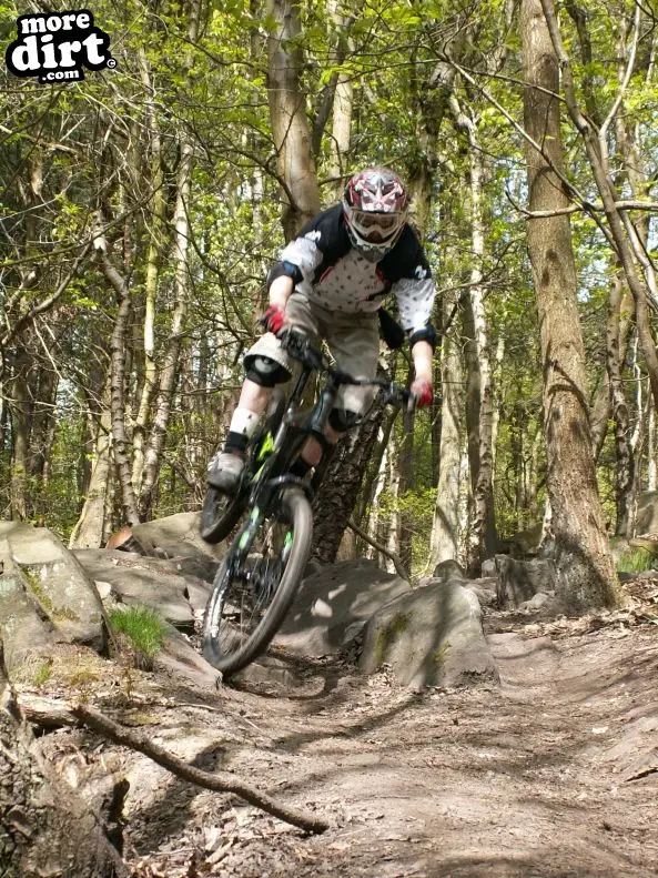 Wharncliffe Woods - DH Trails