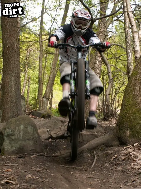 Wharncliffe Woods - DH Trails