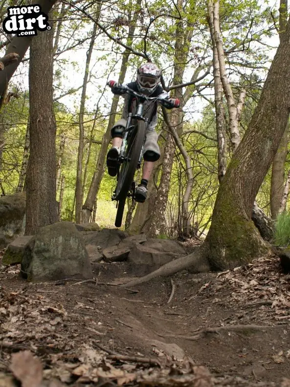 Wharncliffe Woods - DH Trails