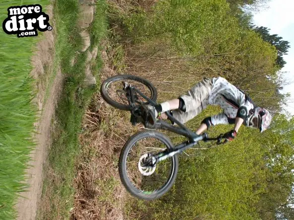 Wharncliffe Woods - DH Trails