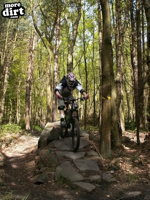 Wharncliffe Woods - DH Trails