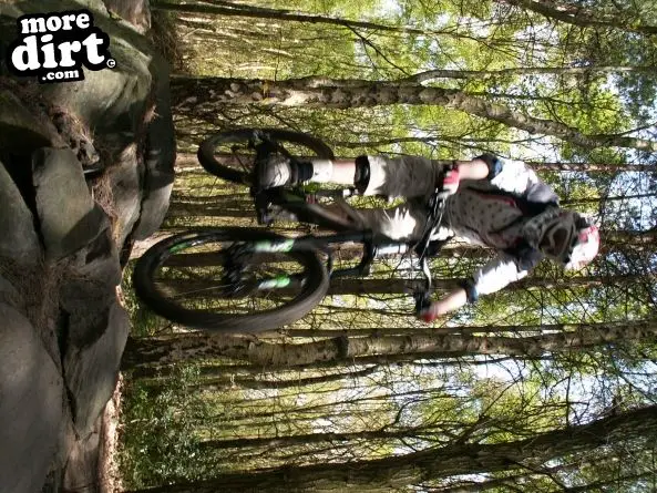 Wharncliffe Woods - DH Trails