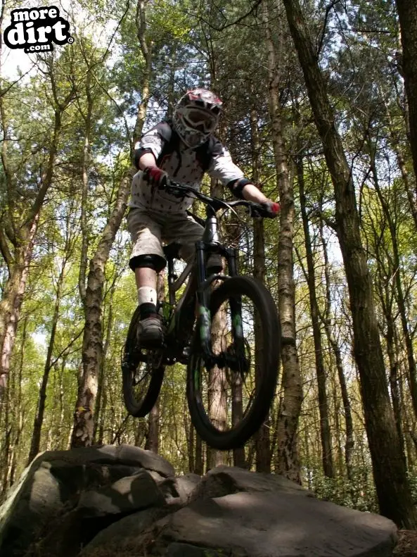 Wharncliffe Woods - DH Trails