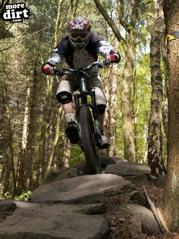 Wharncliffe Woods - DH Trails