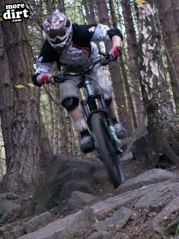 Wharncliffe Woods - DH Trails