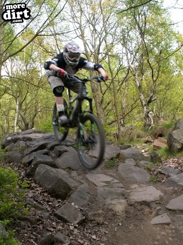 Wharncliffe Woods - DH Trails