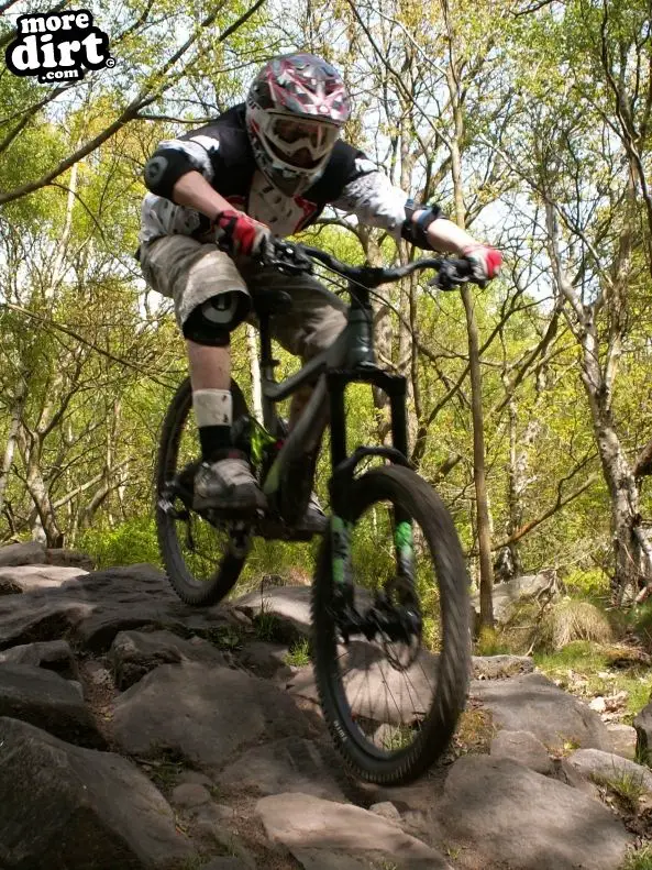 Wharncliffe Woods - DH Trails