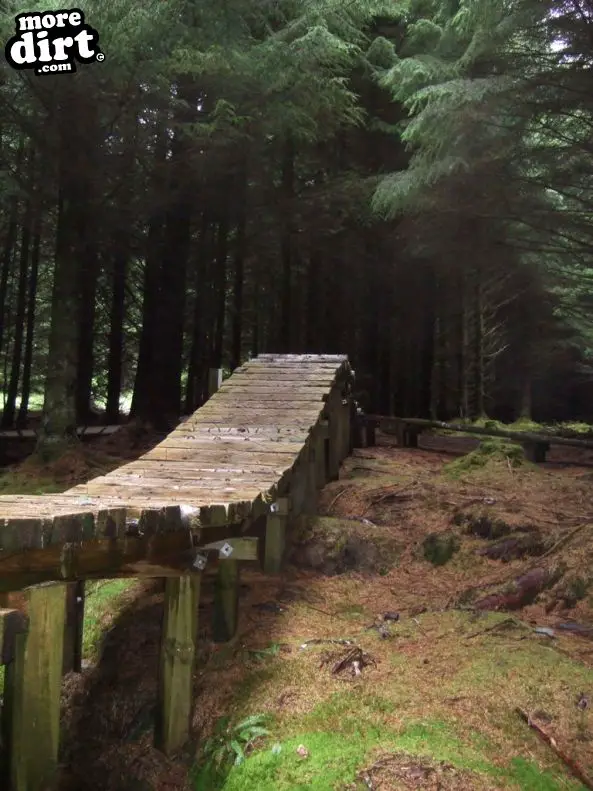 Deadwater Trail - Kielder Forest