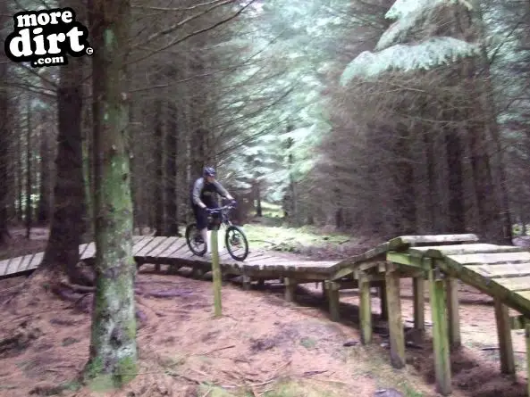 Deadwater Trail - Kielder Forest