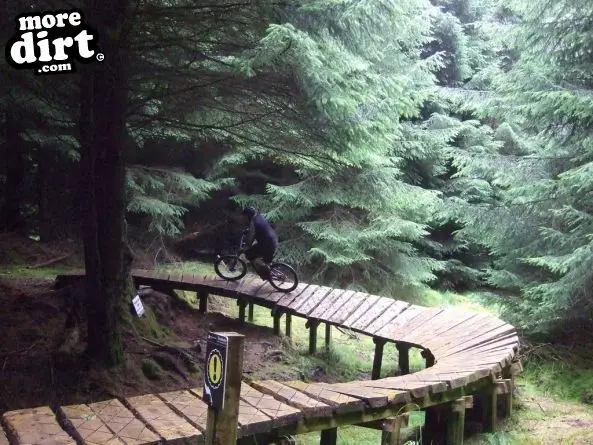 Deadwater Trail - Kielder Forest