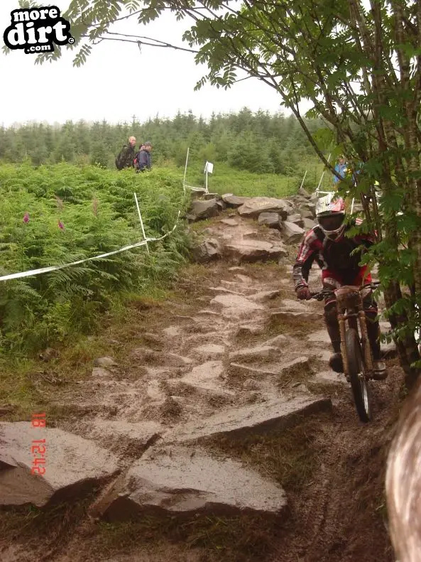 Ae Downhill Trail