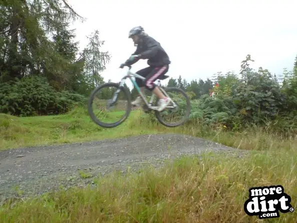 Freeride Park - Glentress