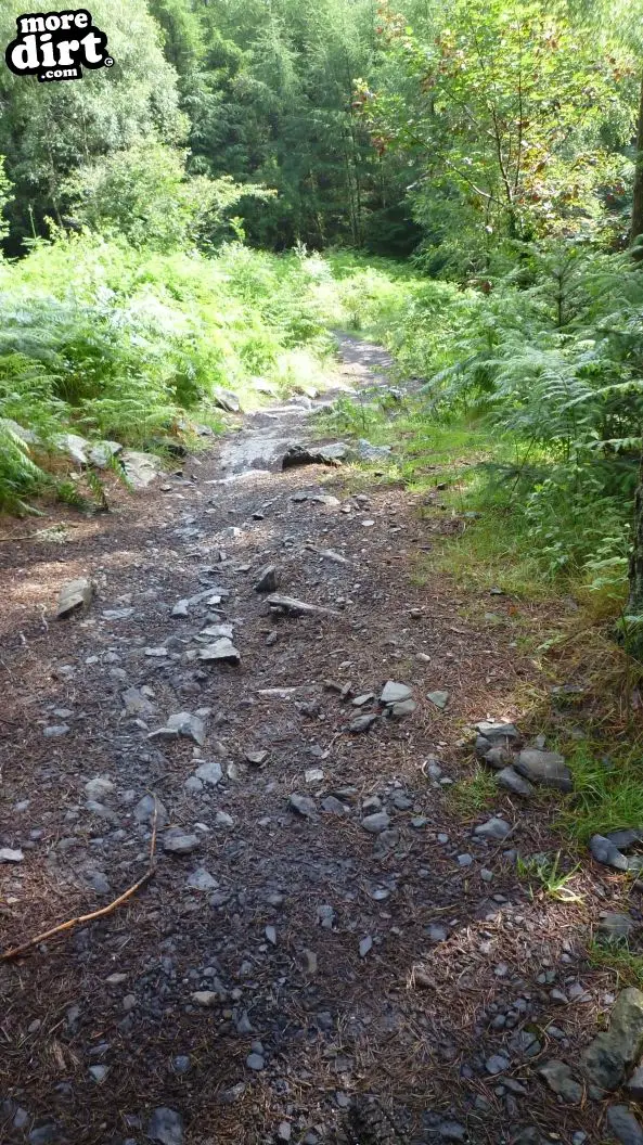 The Twister Trail - Kirroughtree