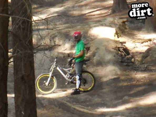 Rogate Downhill Mountain Bike Park