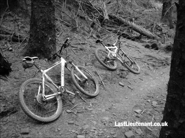 Skyline Trail - Afan Forest