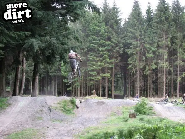 Downhill Trails - Forest of Dean