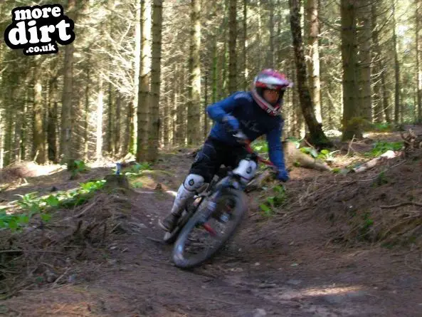 Wentwood Forest Downhill Trail