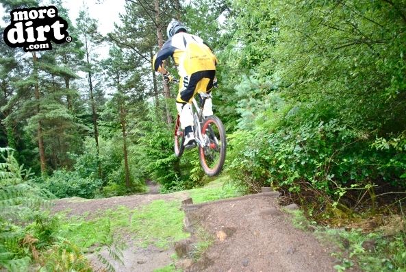 Gawton Mountain Bike Trails