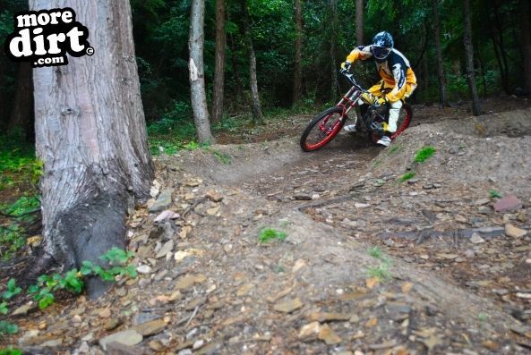 Gawton Mountain Bike Trails