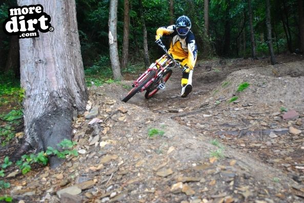 Gawton Mountain Bike Trails