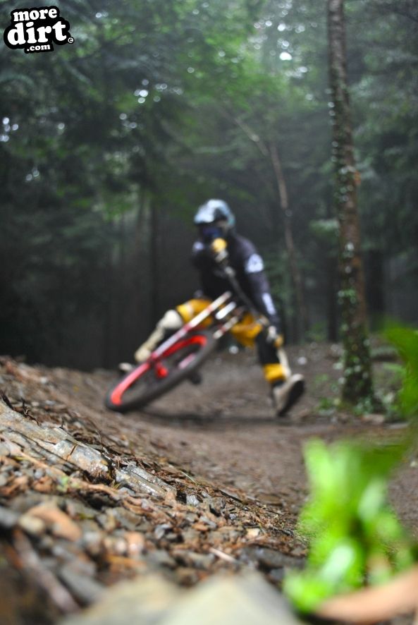 Gawton Mountain Bike Trails