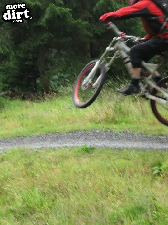 Freeride Park - Glentress