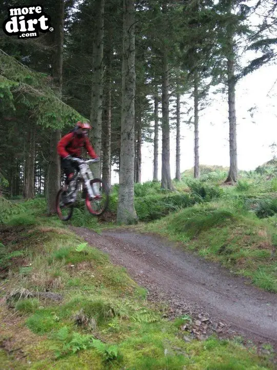 The Red Trail - Glentress