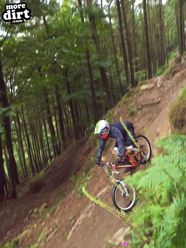 Y Mynydd Downhill - Cwmcarn