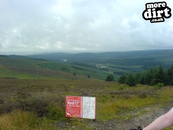 Deadwater Trail - Kielder Forest