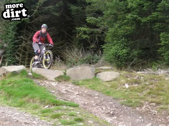 The Red Trail - Glentress