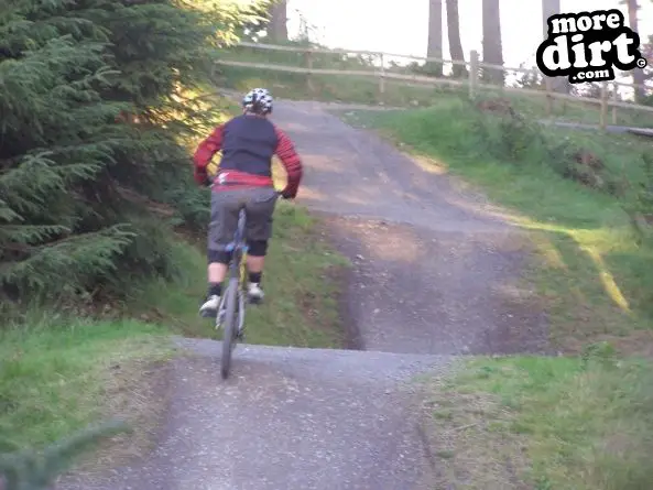 The Red Trail - Glentress