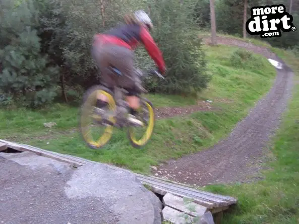 Freeride Park - Glentress