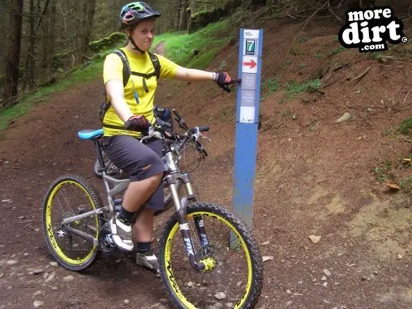 Innerleithen Mountain Bike Trails