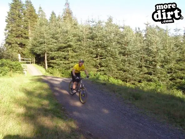 Glentress Mountain Bike Trail Centre