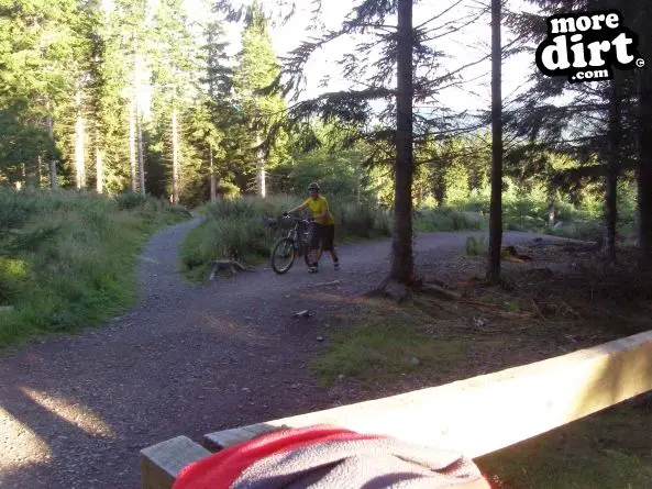 Freeride Park - Glentress