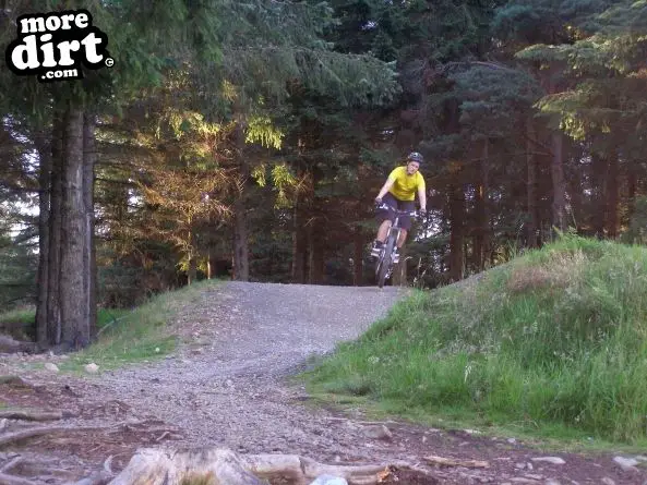 Freeride Park - Glentress