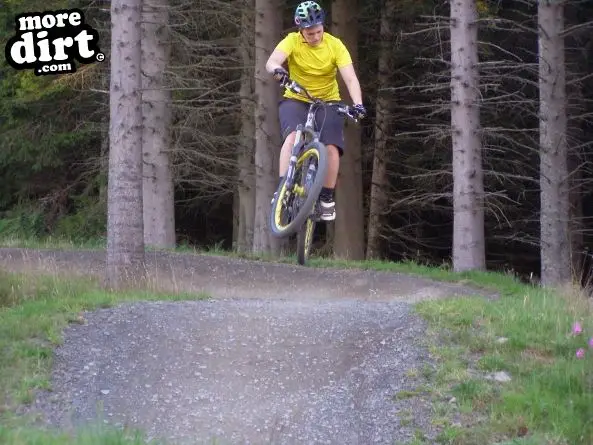 Freeride Park - Glentress