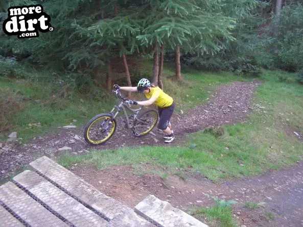 Freeride Park - Glentress